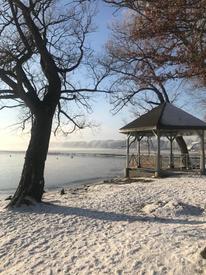 Drewniany Domek Nad Miedwiem Morzyczyn  Exterior foto